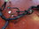 USED Yamaha R1 4C8 Main Harness Wiring Loom 4C8-82590-30 £99.95