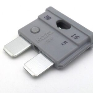 Fuse 2 Amp Standard Blade Automotive 10 Pack