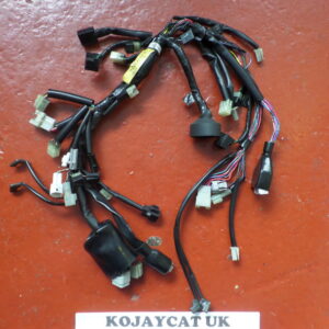 Yamaha FJR1300 Headlight Speedo Wiring Loom 2D2-84359-00 (USED)